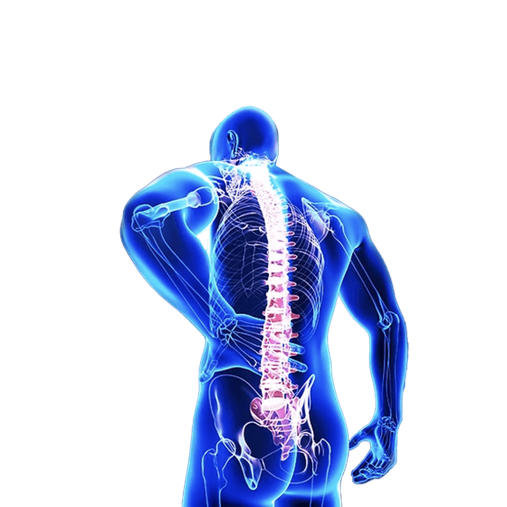 Posture Correction Rehab